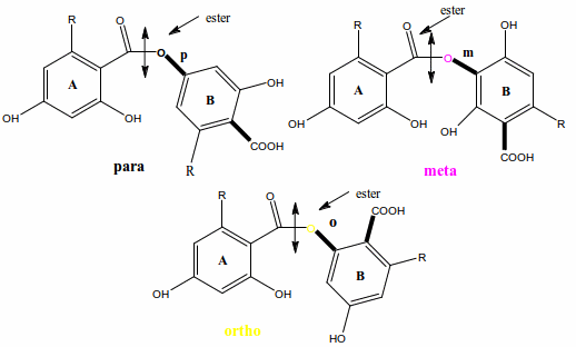 depsides