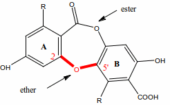 depsidone.gif