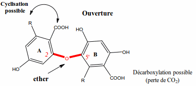 diphenylether.gif